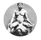 Curriculum vitae - J&eacute;r&ocirc;me Dupr&eacute; la Tour