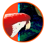 Signature Jérôme Dupré la Tour